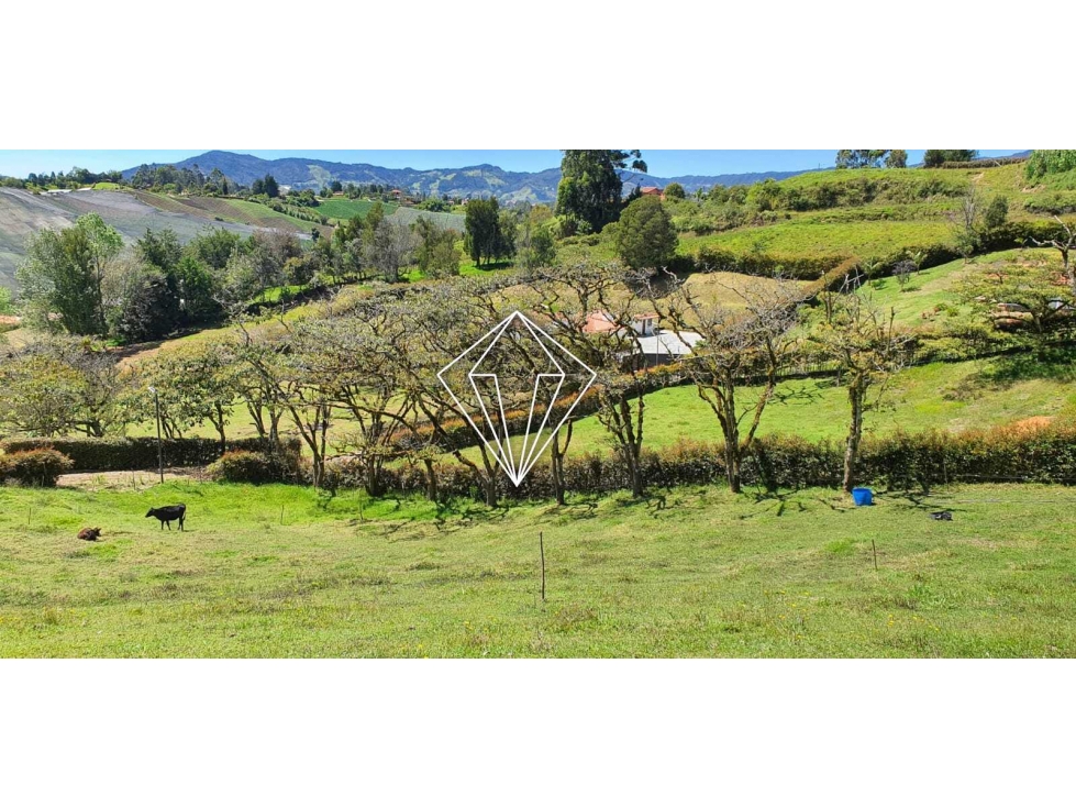LOTE CAMPESTRE EN VENTA EN EL CARMEN DE VIBORAL — foto 6