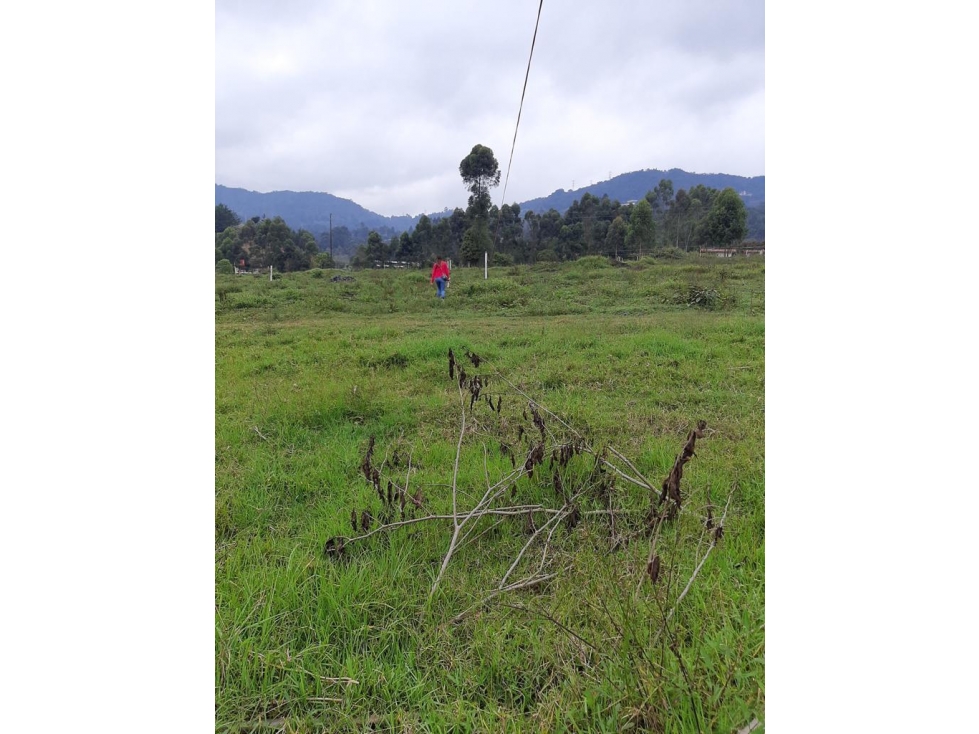 Venta de cesión de derechos lote en parecelación en La Ceja — foto 6