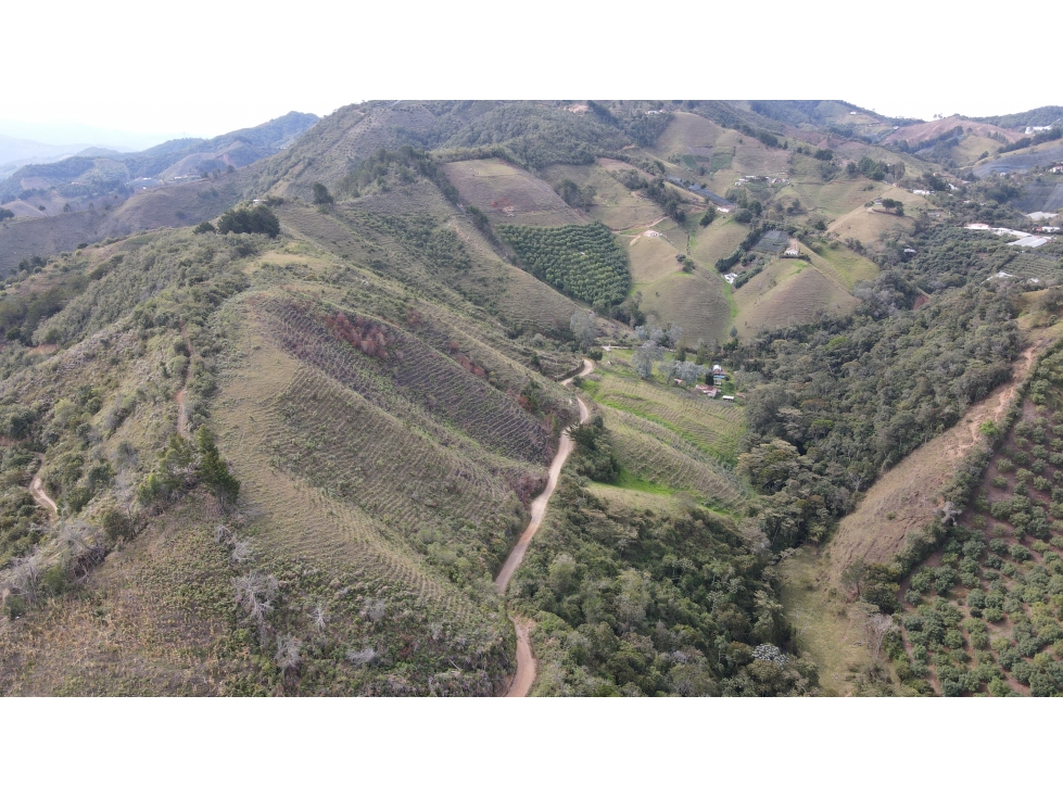 Lotes Campestres en venta de 5.000 m² en Vereda Fátima - La Ceja