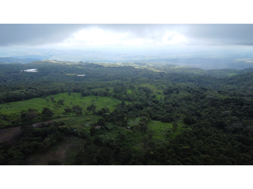 Terreno de Montaña en Alto Jaramillo