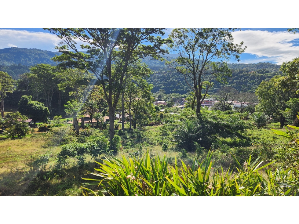 Exclusivo Terreno de Desarrollo en el Corazón de Boquete - 3