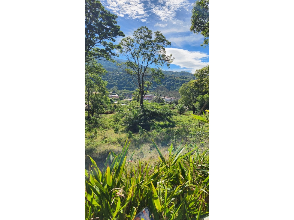 Exclusivo Terreno de Desarrollo en el Corazón de Boquete - 5