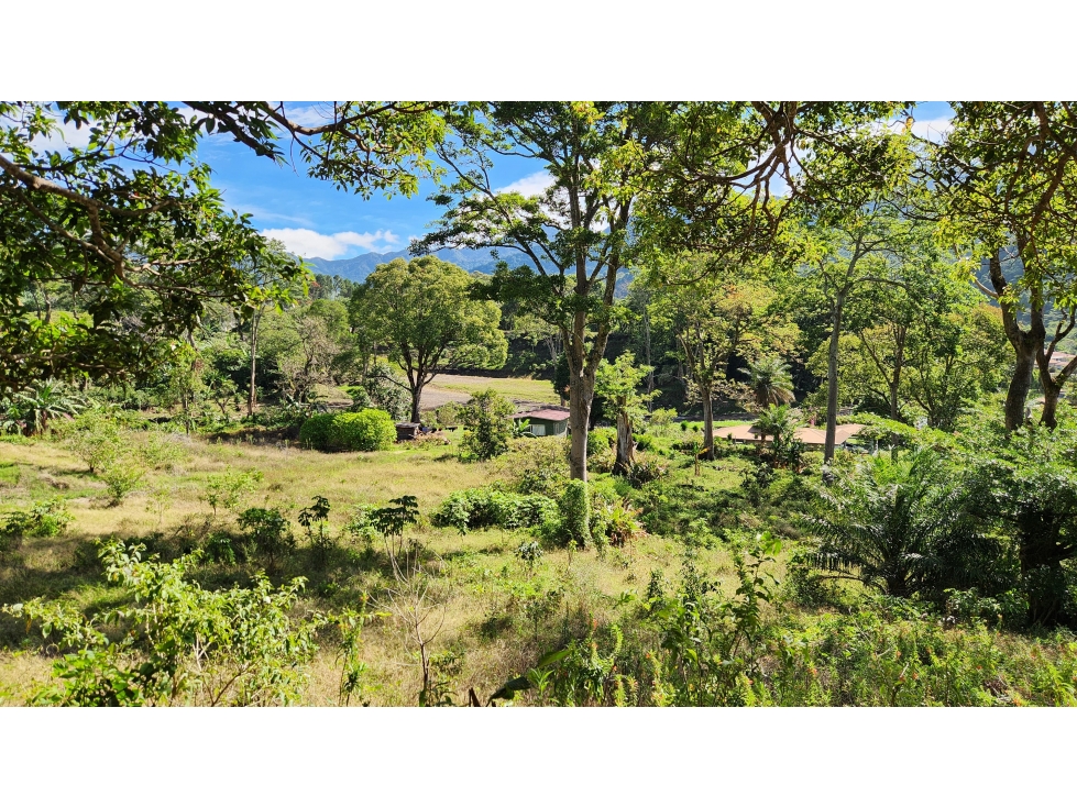 Exclusivo Terreno de Desarrollo en el Corazón de Boquete - 6
