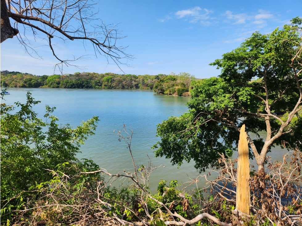 Boca Chica Oceanview Estate - 5