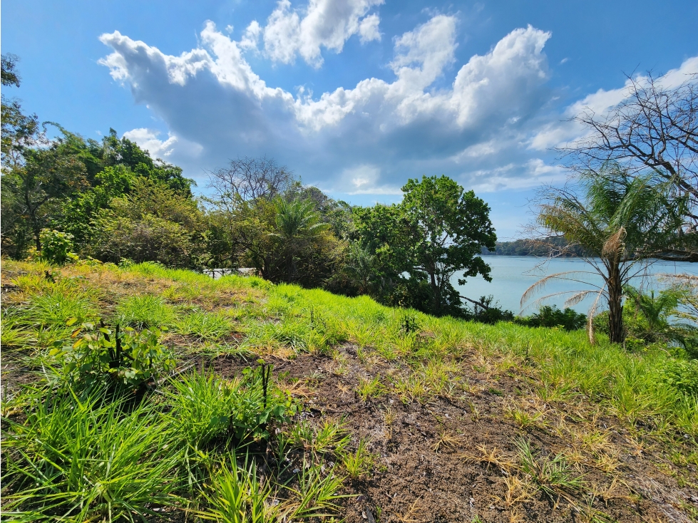 Boca Chica Oceanview Estate - 6