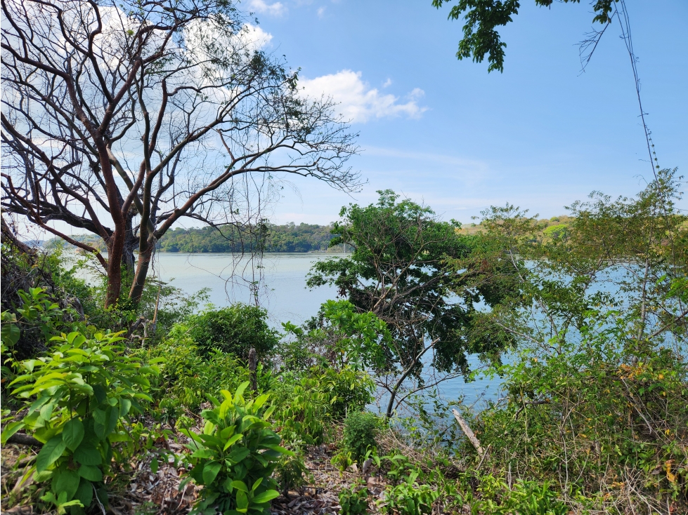 Boca Chica Oceanview Estate - 3