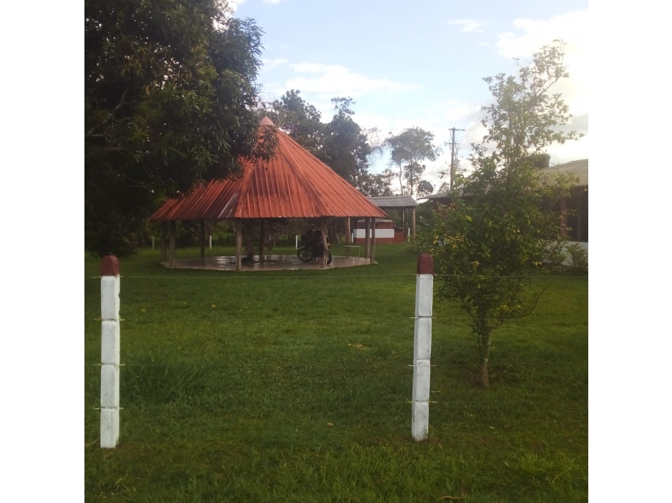 Vendo Finca Puerto Lopez/Llanos - 6
