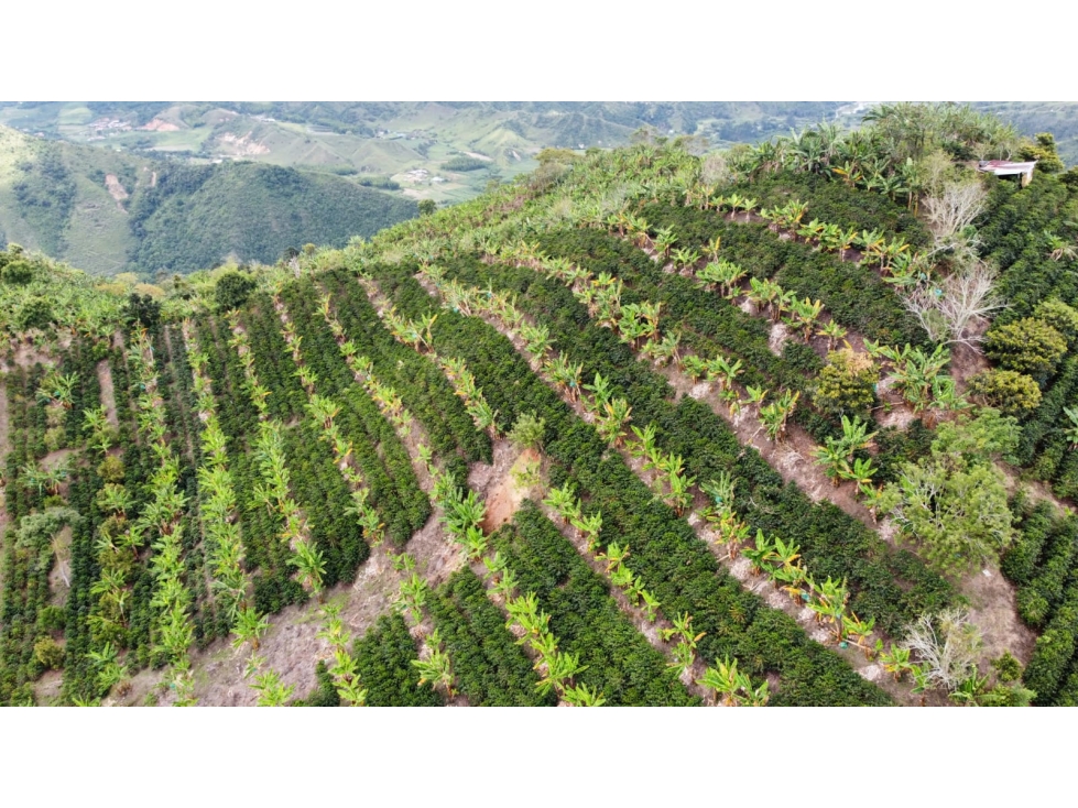 FINCA EN VENTA - 1