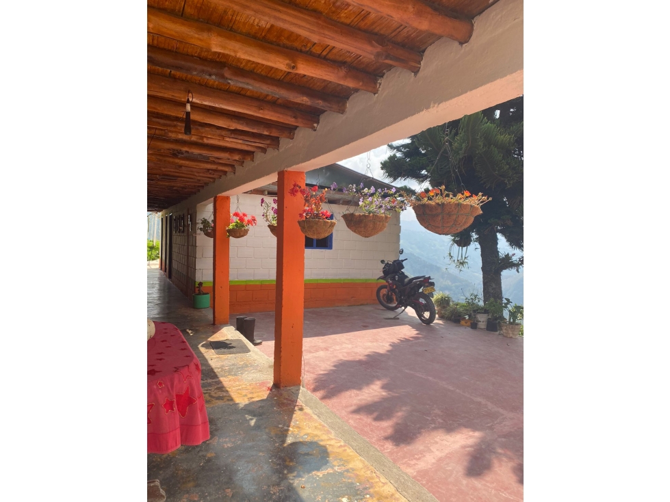 FINCA EN VENTA - 4