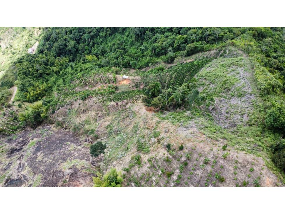 FINCA EN VENTA - 6