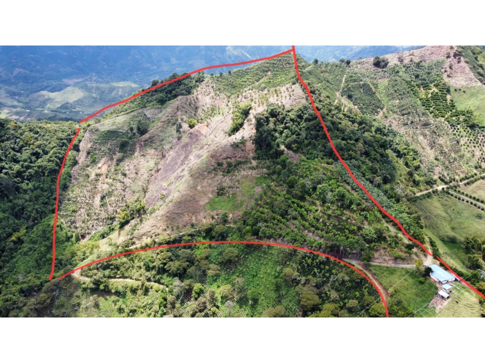 FINCA EN VENTA - 2
