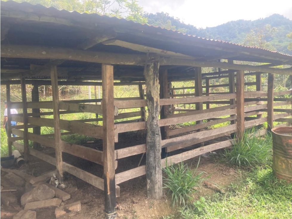 HERMOSA FINCA EN VENTA EN VELEZ LANZADURI - 2