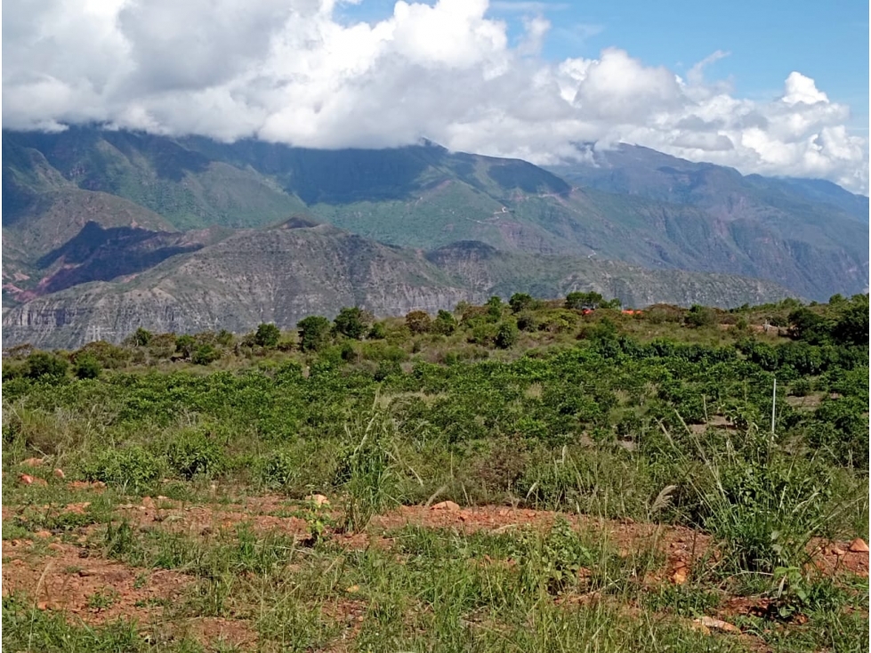 SE VENDE LOTE UBICADO MESA DE LOS SANTOS - 1