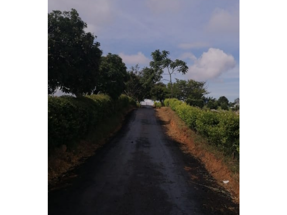 LOTE EN VENTA RUITOQUE ALTO PARCELA VILLA ASTREA - 2