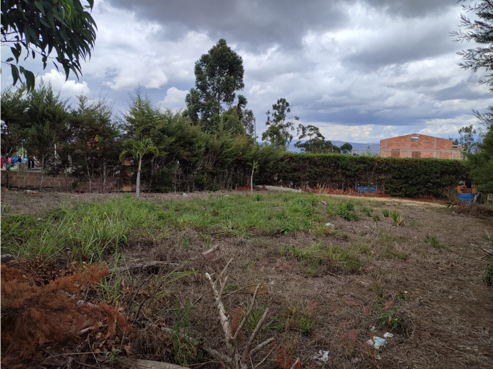 LOTE MESA DE LOS SANTOS - 1