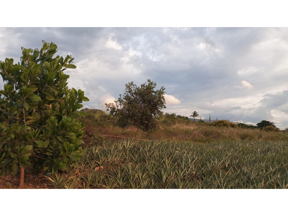 SE VENDE LOTE UBICADO MESA DE LOS SANTOS - 2