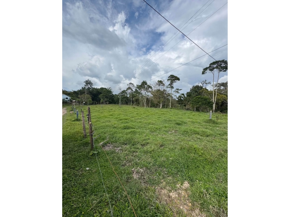 LOTE EN VENTA EN LEBRIJA SANTANDER - 2