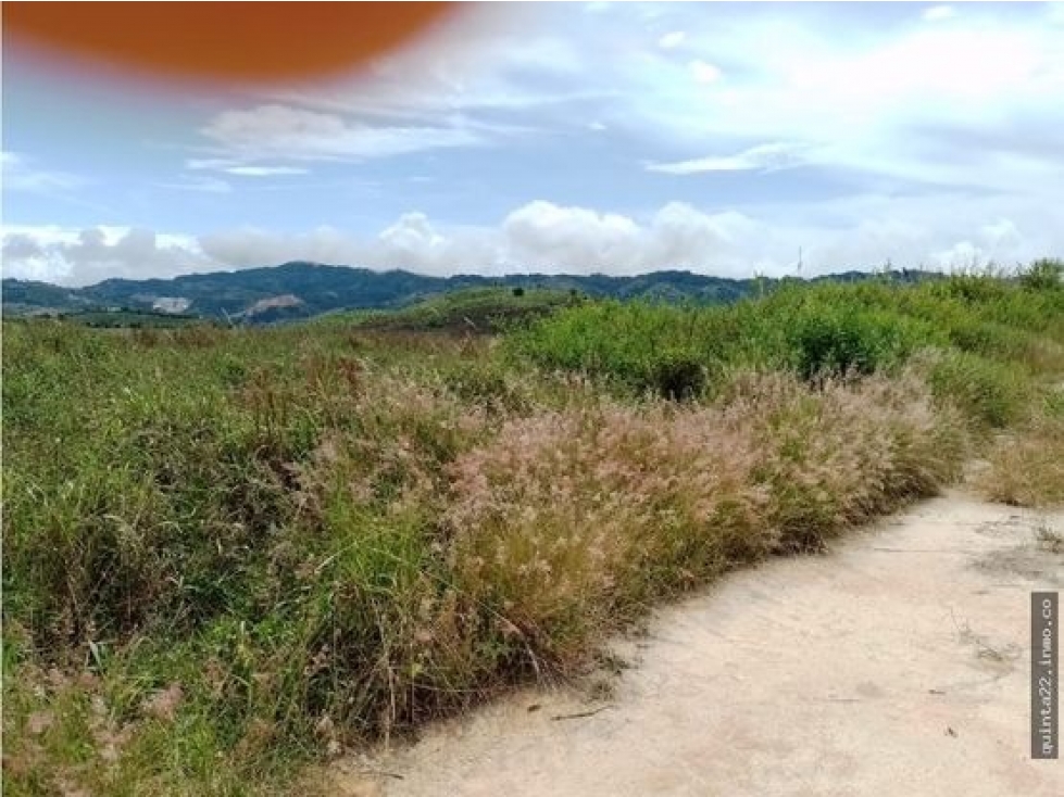LOTE PARA LA VENTA EN LEBRIJA - 3