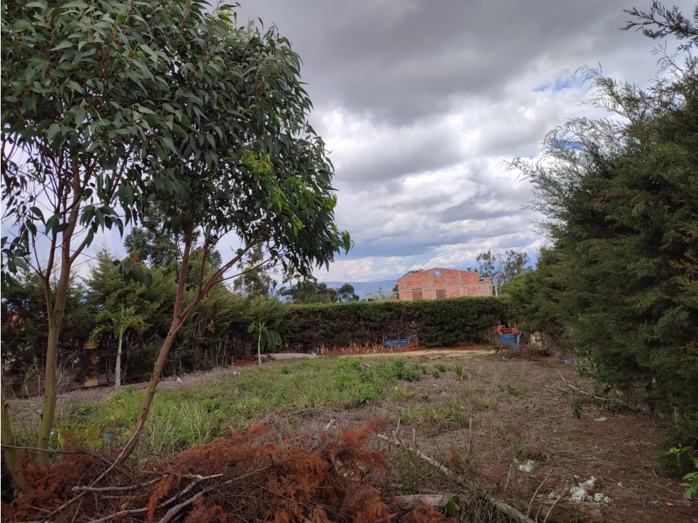 LOTE MESA DE LOS SANTOS - 2