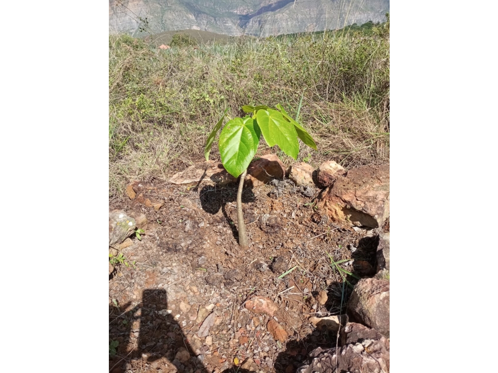 SE VENDE LOTE UBICADO MESA DE LOS SANTOS - 4