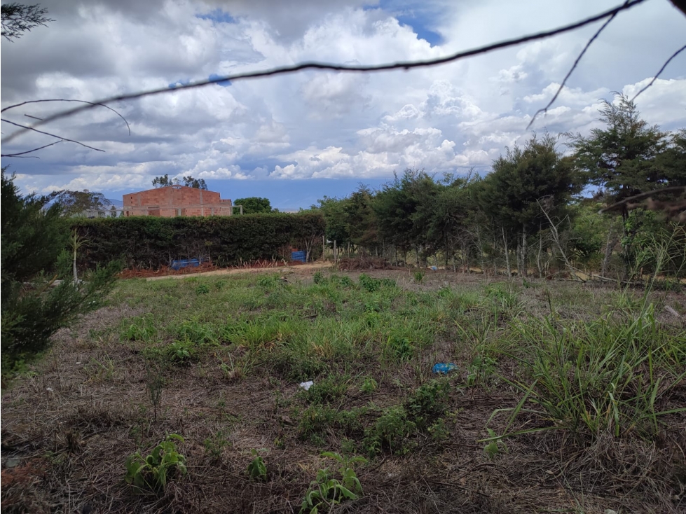 LOTE MESA DE LOS SANTOS - 3