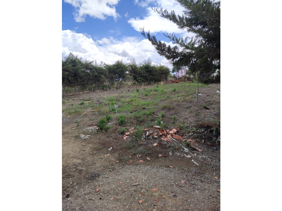 LOTE MESA DE LOS SANTOS - 6