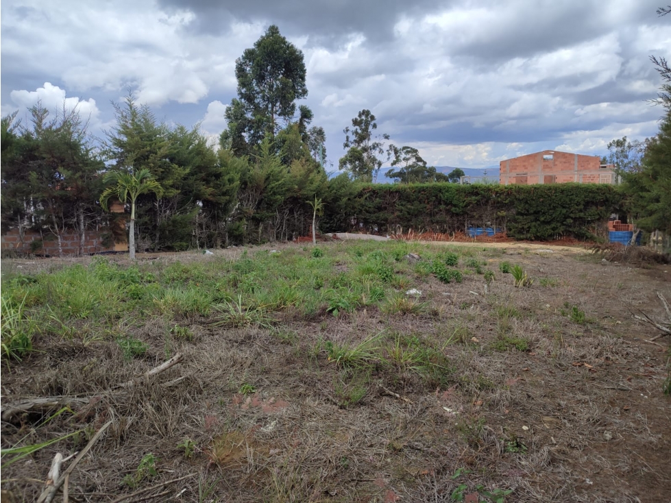 LOTE MESA DE LOS SANTOS - 4