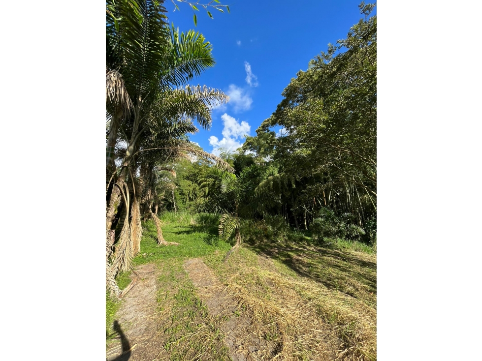 Vendo Lote Cerritos- Pereira