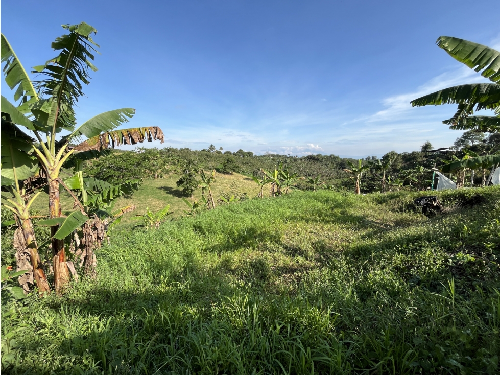 Venta Lote Semi Parcela- El estanquillo-Morelia- Pereira. C