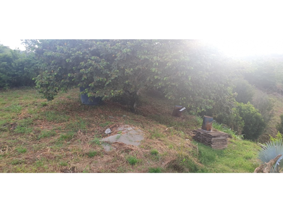 Venta Lote La Carmelita Cerritos Pereira — foto 2