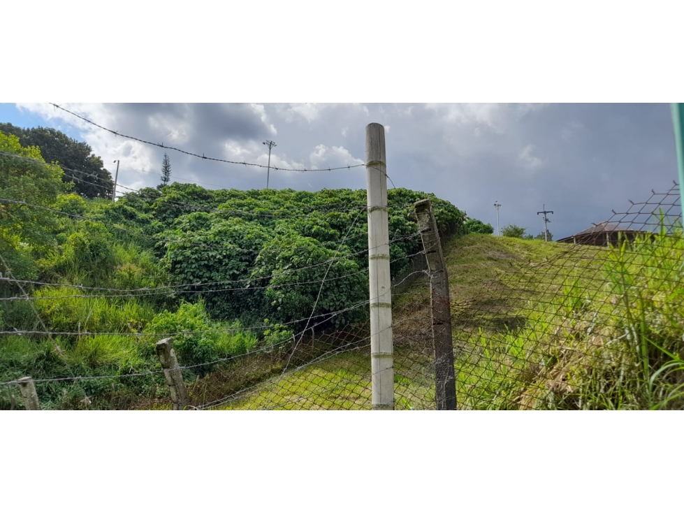 Venta Lote Belmonte Pereira — foto 3