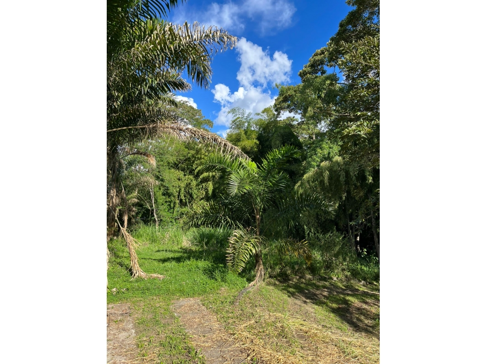 Vendo Lote Cerritos- Pereira — foto 3