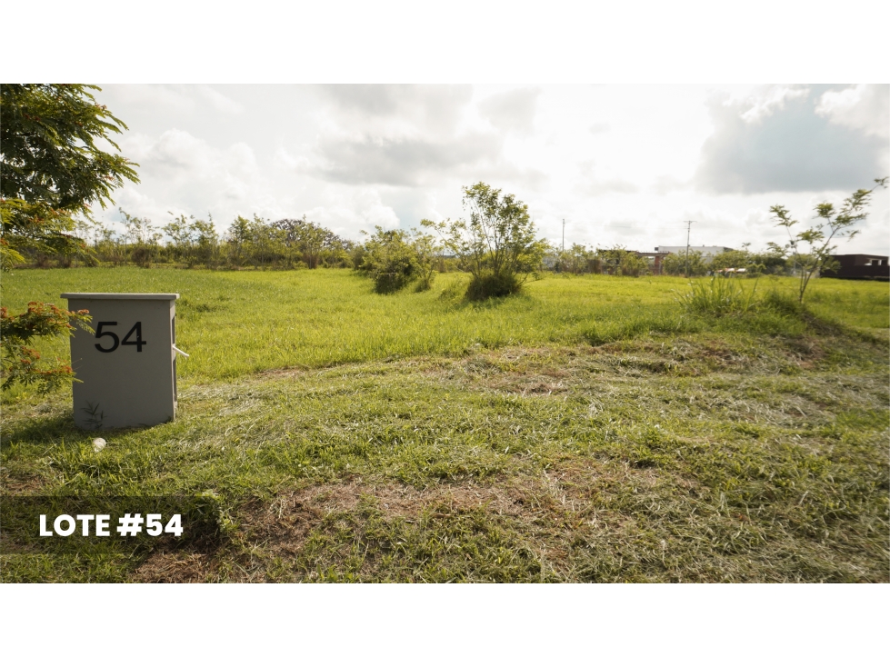 Venta Lotes Campestres Cerritos - Pereira — foto 3