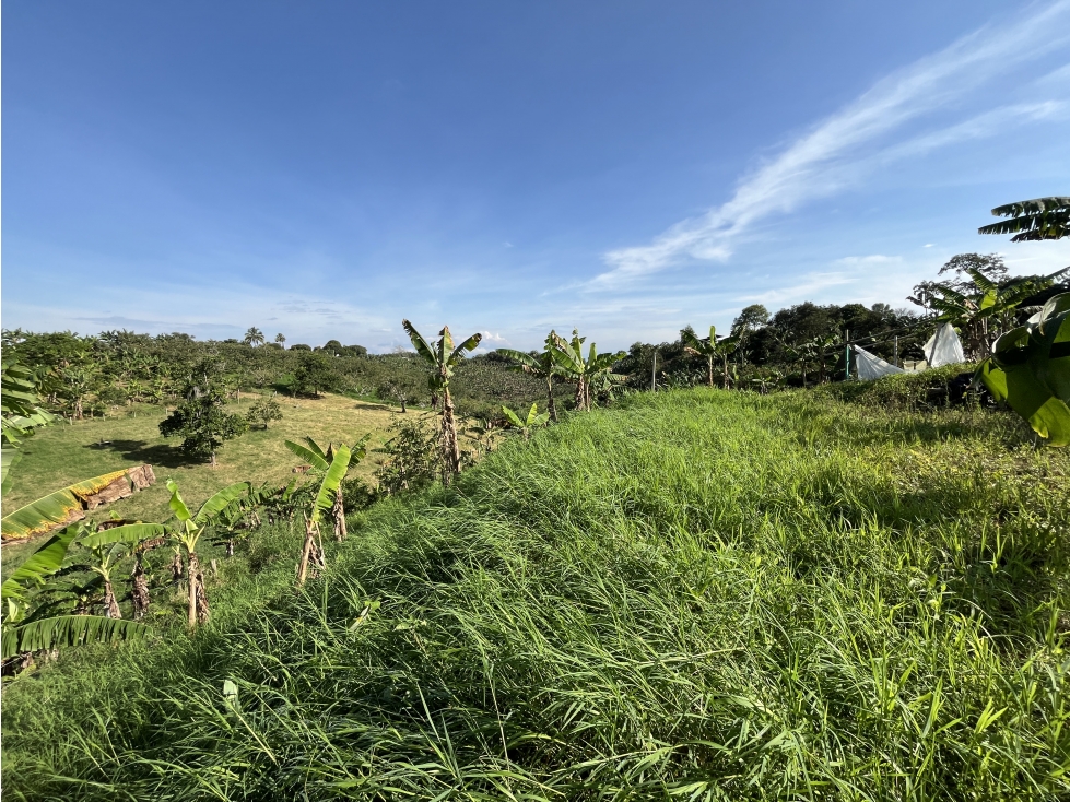 Venta Lote Semi Parcela- El estanquillo-Morelia- Pereira. C — foto 3