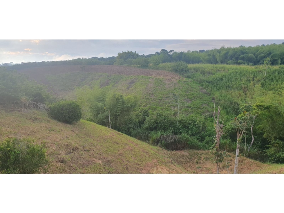 Venta Lote La Carmelita Cerritos Pereira