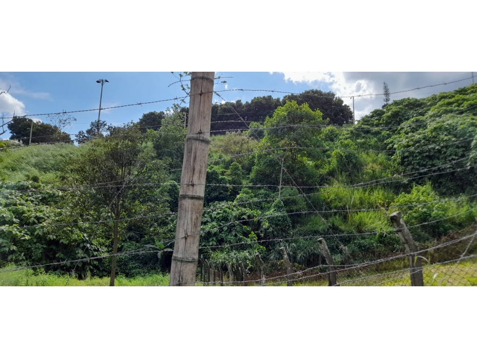 Venta Lote Belmonte Pereira — foto 5