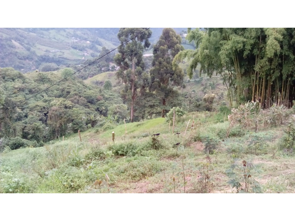 Venta Finca La Florida Pereira
