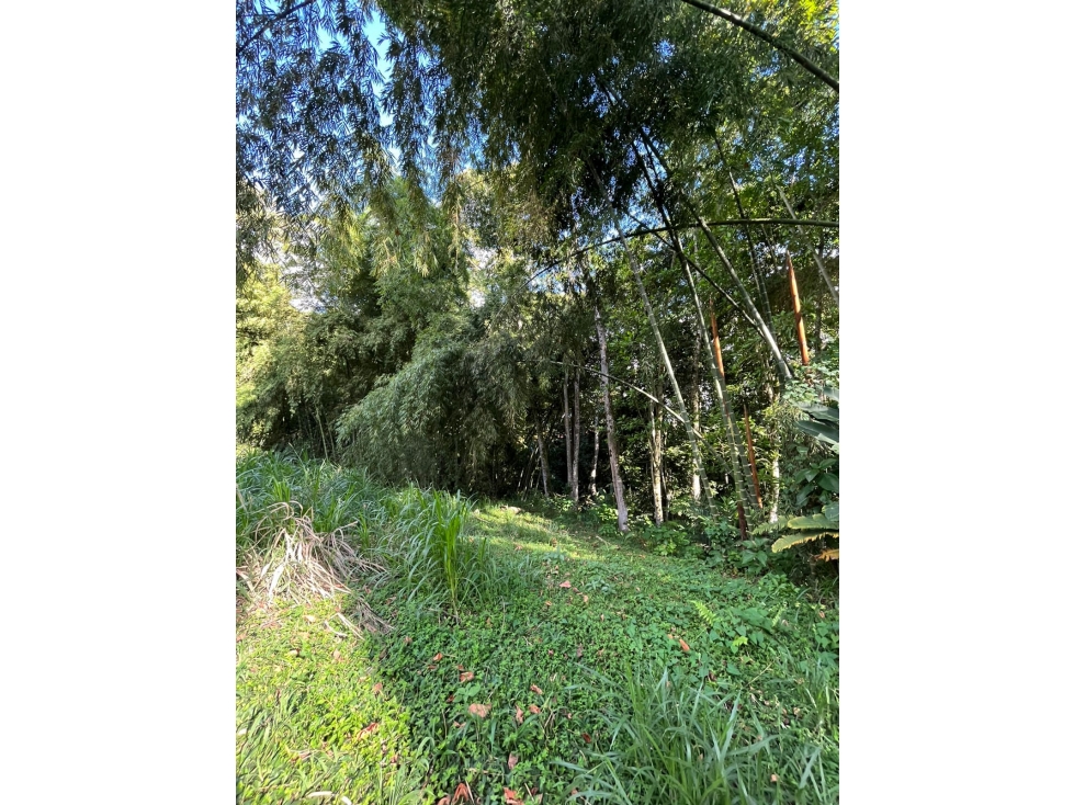 Vendo Lote Cerritos- Pereira — foto 4