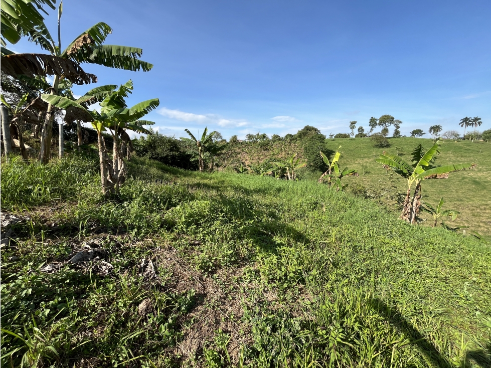 Venta Lote Semi Parcela- El estanquillo-Morelia- Pereira. C — foto 4