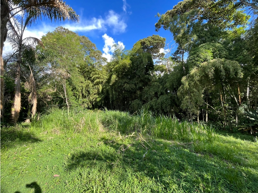Vendo Lote Cerritos- Pereira — foto 5