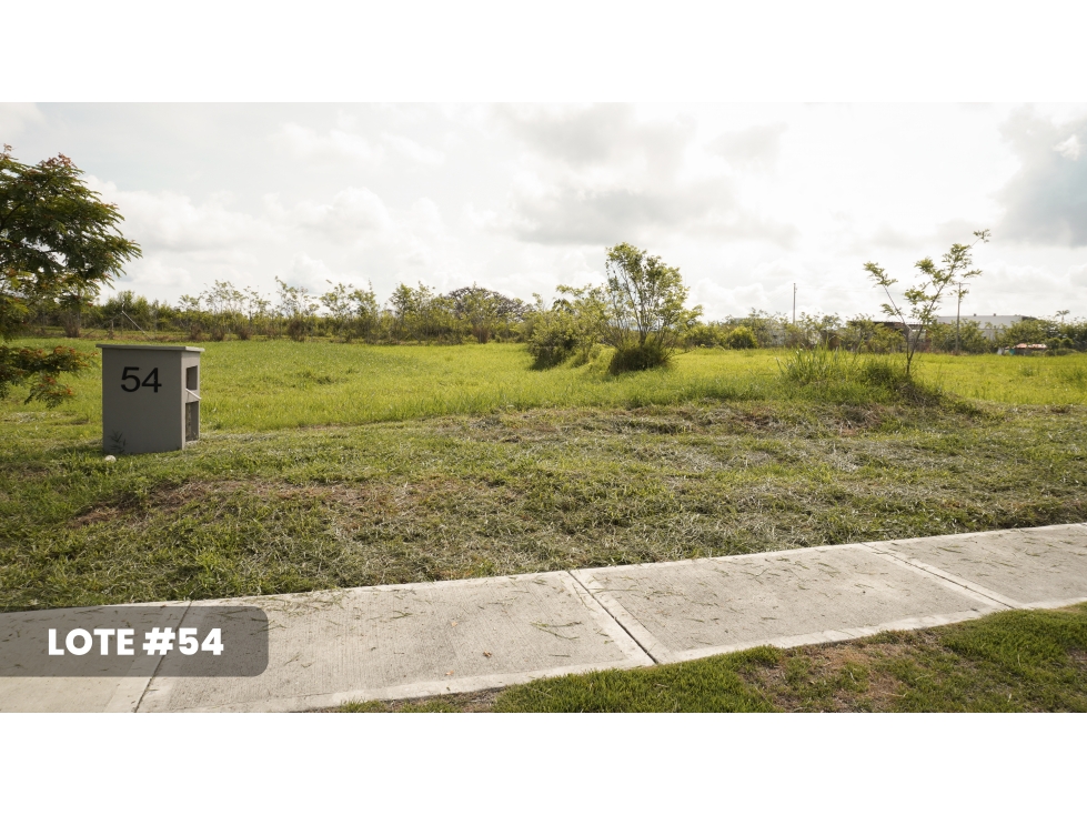 Venta Lotes Campestres Cerritos - Pereira — foto 5