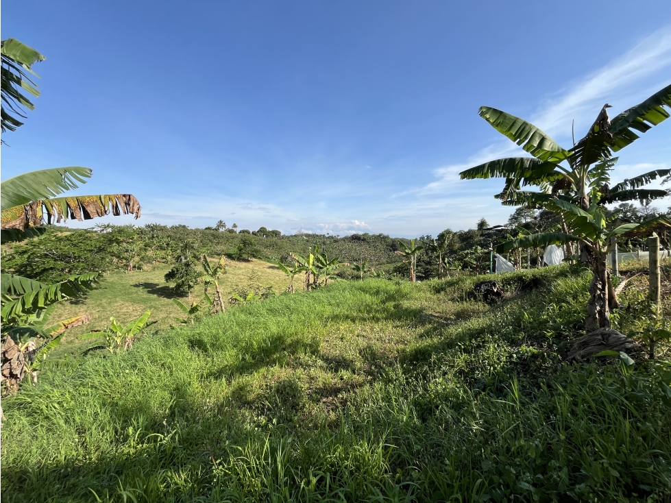Venta Lote Semi Parcela- El estanquillo-Morelia- Pereira. C — foto 5