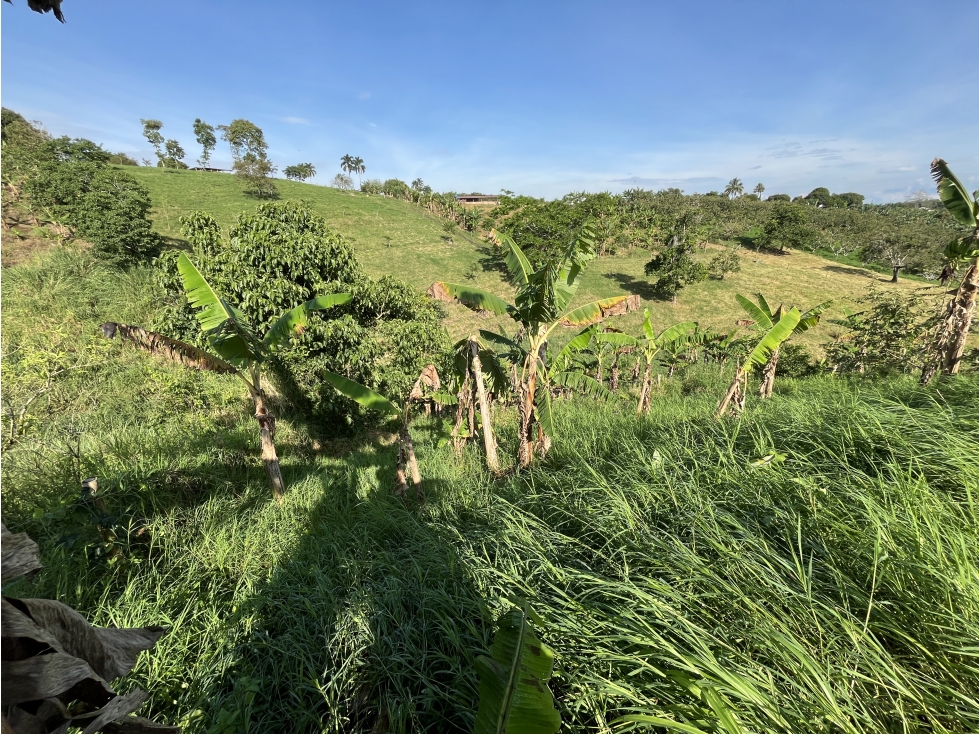 Venta Lote Semi Parcela- El estanquillo-Morelia- Pereira. C — foto 6