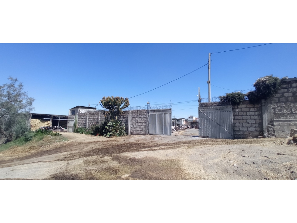 ESTABLO - 1