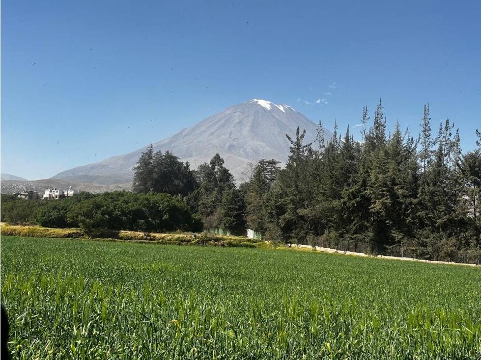 ESTABLO - 1