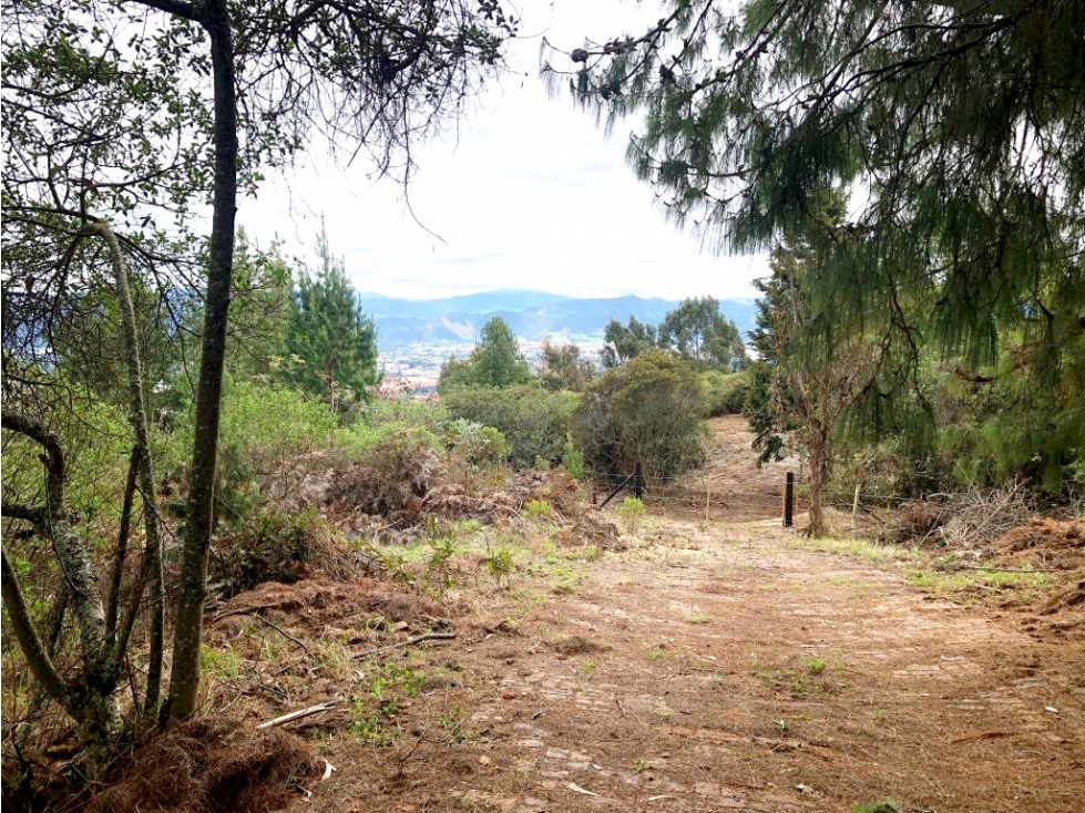 Lote 10.000m² 1 Hectárea Vista Panorámica Yerbabuena Chía — foto 3
