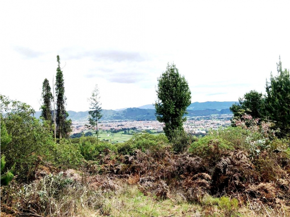 Lote 10.000m² 1 Hectárea Vista Panorámica Yerbabuena Chía