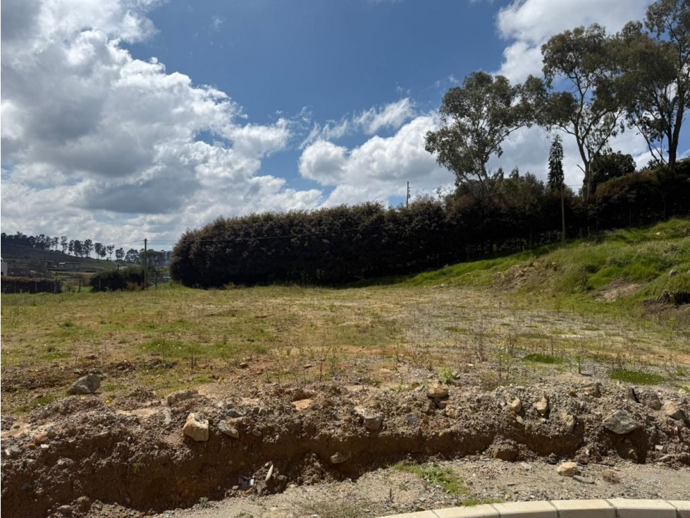 VENTA LOTE SECTOR ALTO DE PALMAS ENVIGADO — foto 3