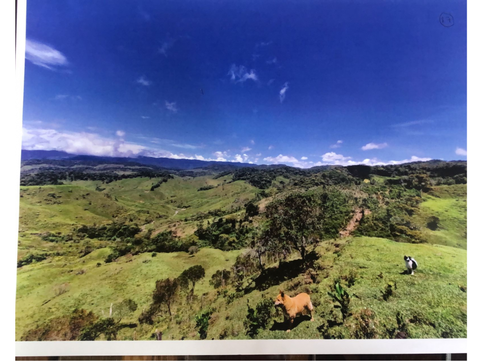 VENTA FINCA SECTOR AUTOPISTA EN EL SANTUARIO ANTIOQUIA - 3