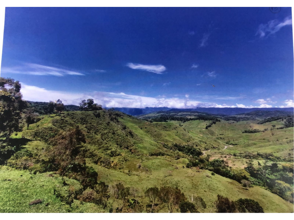 VENTA FINCA SECTOR AUTOPISTA EN EL SANTUARIO ANTIOQUIA - 1